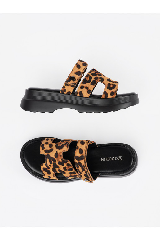 Sussid  platvormiga  Sussid  platvormiga