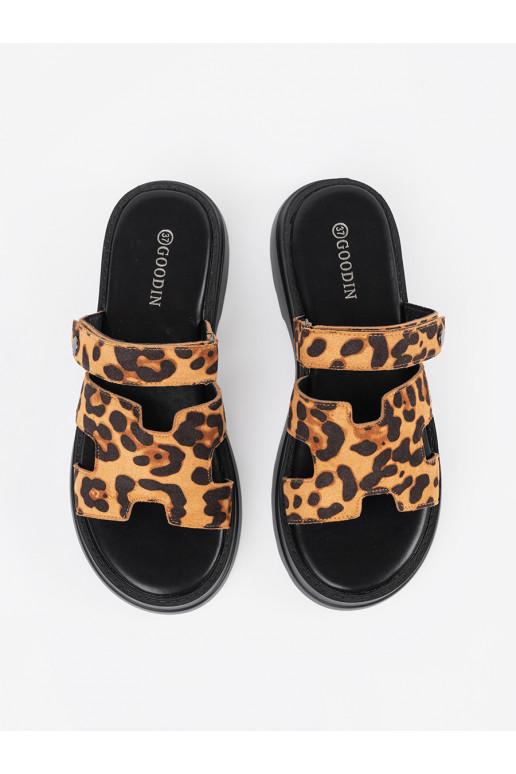 Sussid  platvormiga  Sussid  platvormiga