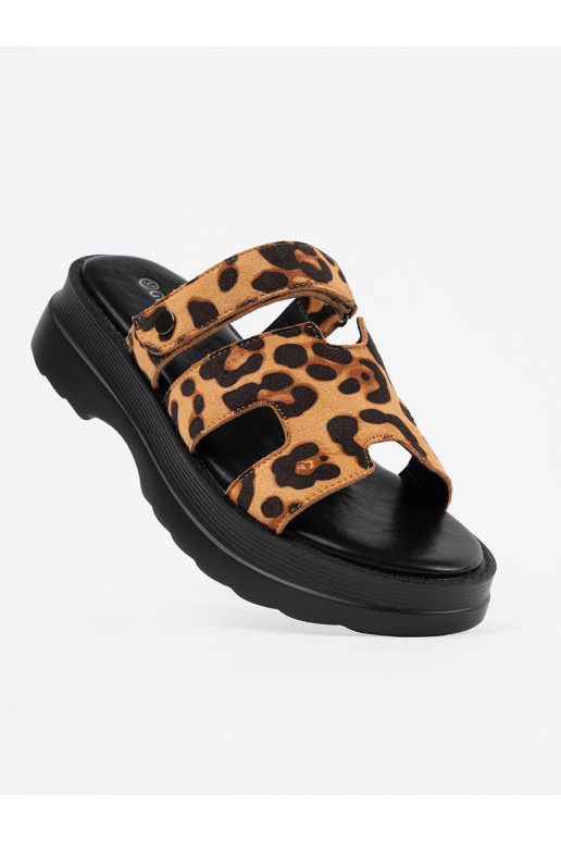 Sussid  platvormiga  Sussid  platvormiga