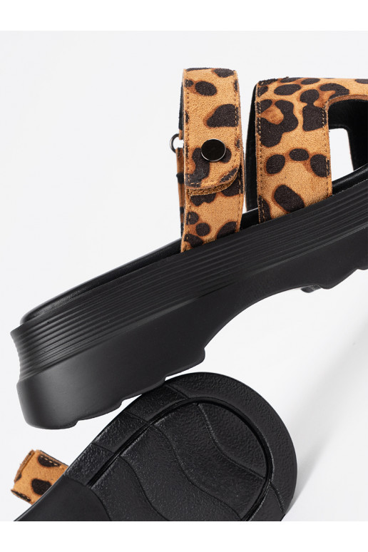 Sussid  platvormiga  Sussid  platvormiga