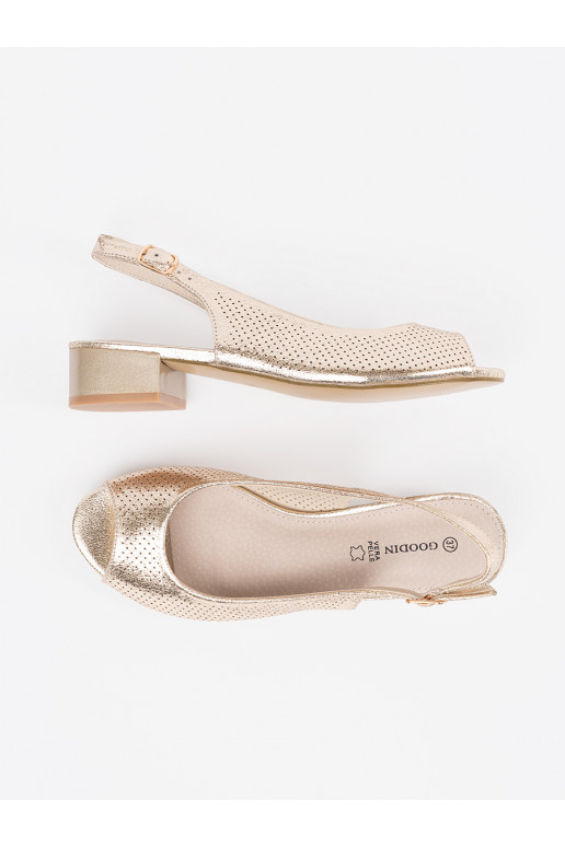 Kuldset värvi  kingad 