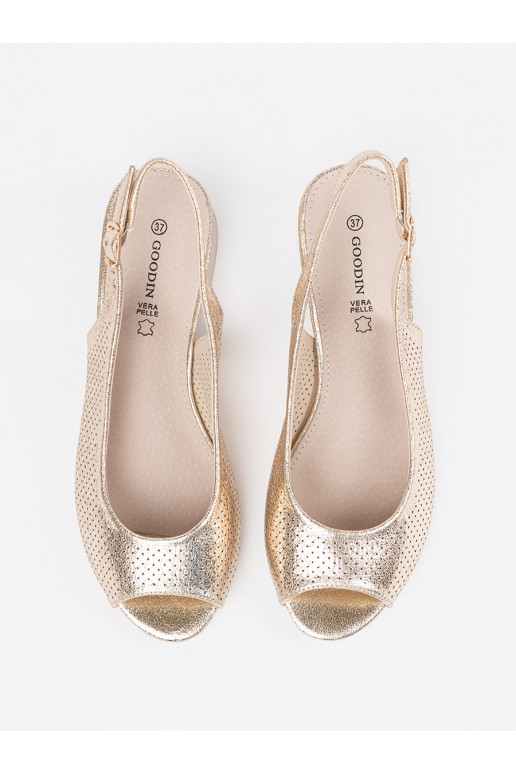 Kuldset värvi  kingad 