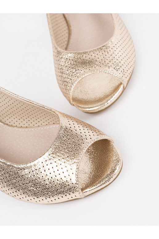 Kuldset värvi  kingad 