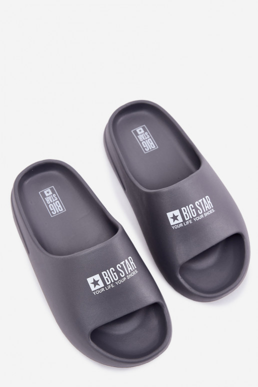 Kerged rannaplätud Sussid  Z Logo Big Star RR174A013 Halli värvi