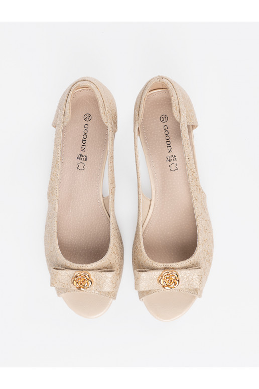 Kuldset värvi kingad 