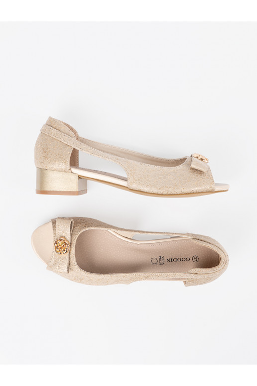 Kuldset värvi kingad 