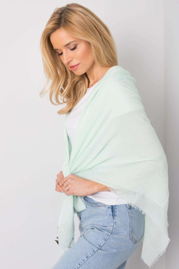 Roheline lilletriipudega pleed 2