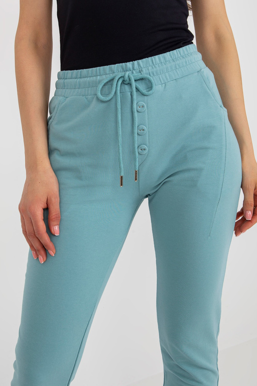 Dressipüksid-RV-DR-8694.37-mint