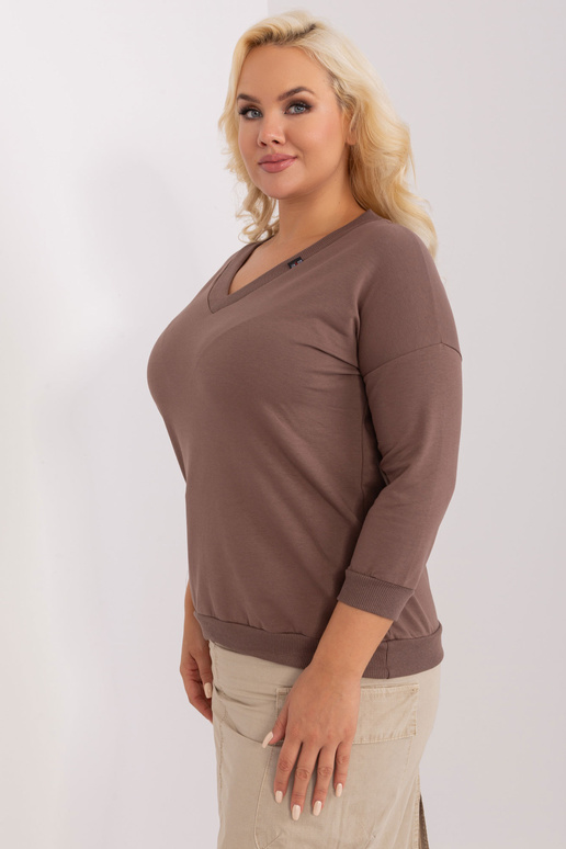 Pluus-RV-BZ-9175.38X-pruun