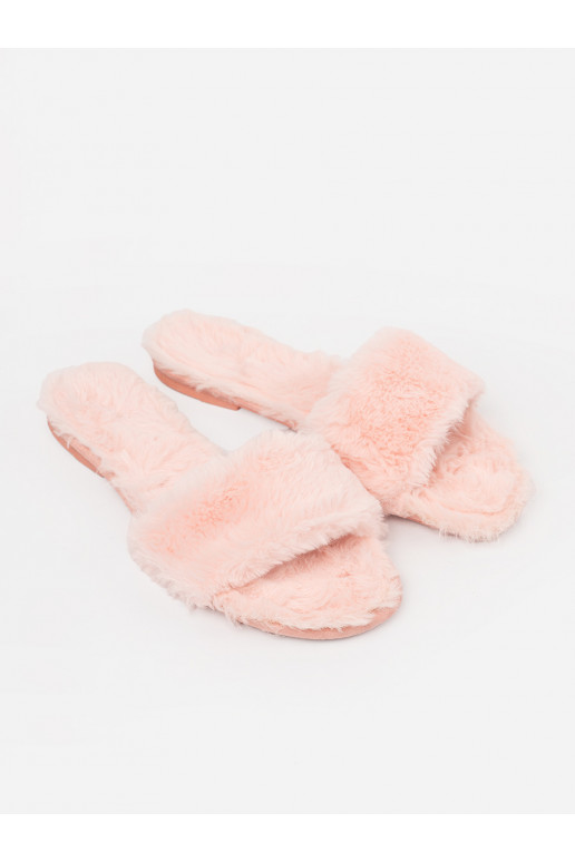 Sussid karusnahaga  Sussid karusnahaga