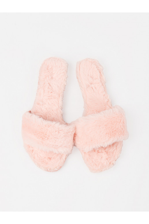 Sussid karusnahaga  Sussid karusnahaga