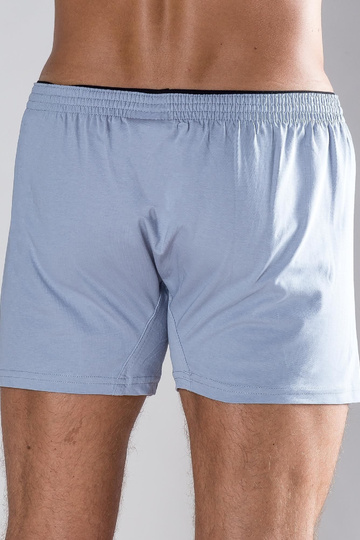 Hallid meeste bokserid 2