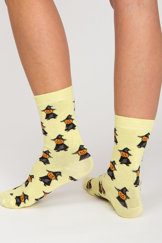 Värviline sokkide komplekt