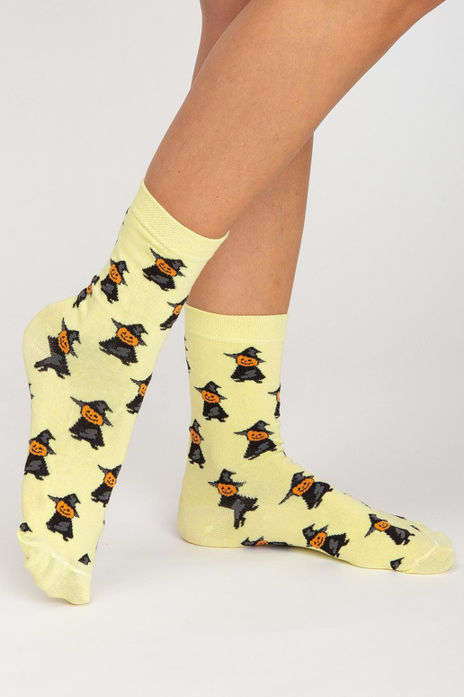 Värviline sokkide komplekt