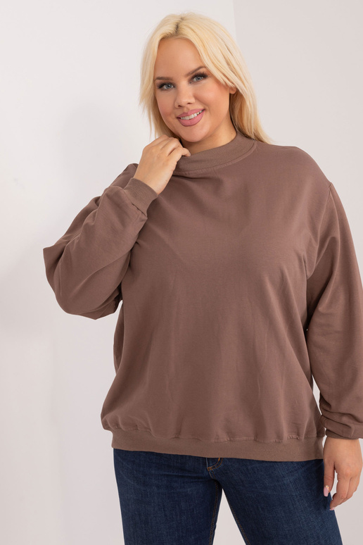 Pruun pluss suuruses dressipluus ilma...