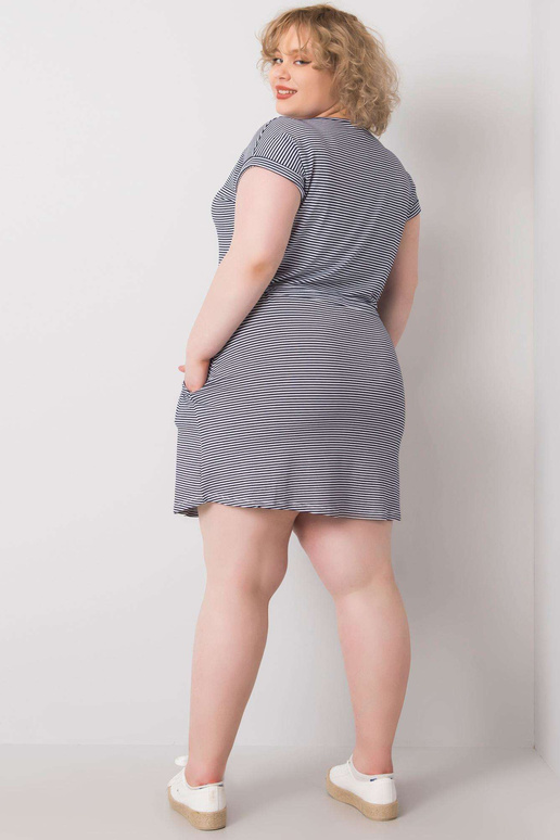 Meresinine ja valge suures suuruses...