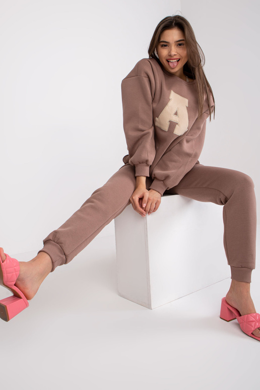 Pruun Edvige kapuutsita dressipluus