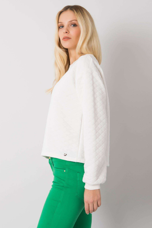 Ecru tepitud dressipluus ilma...