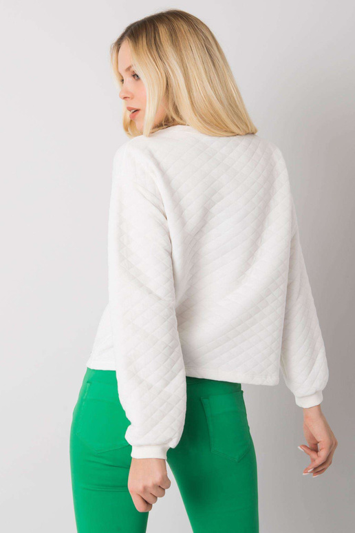 Ecru tepitud dressipluus ilma...