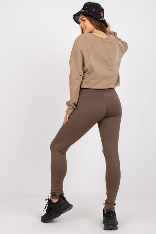 Pruunid tavalised lihtsad retuusid