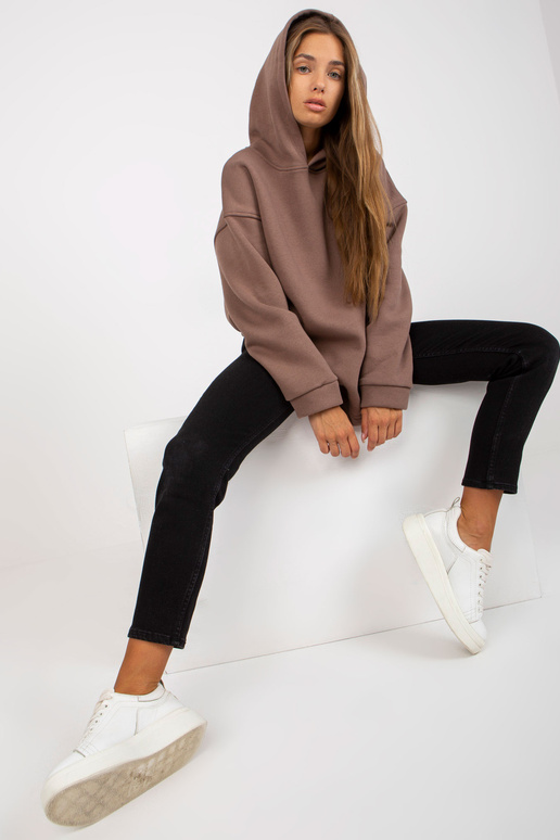 Pruun dressipluus basic kapuutsiga