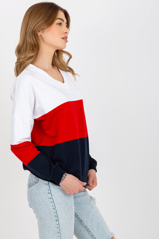 Valge ja tumesinine põhiline ilma...