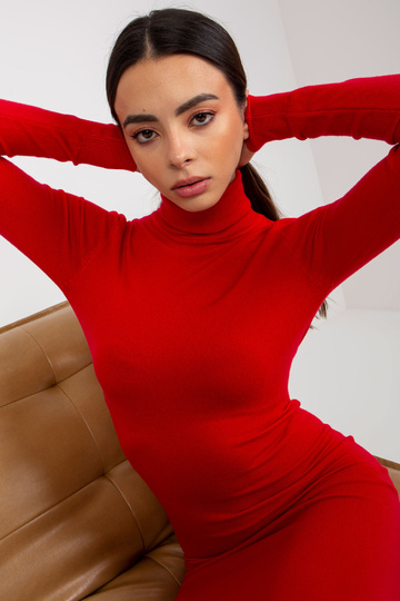 Punane kilpkaelusega kleit 2