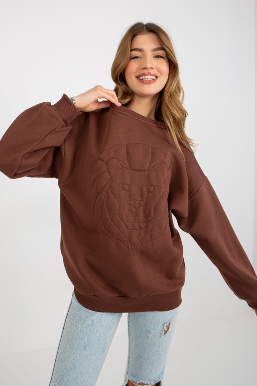 Pruun tikandiga kapuutsita dressipluus