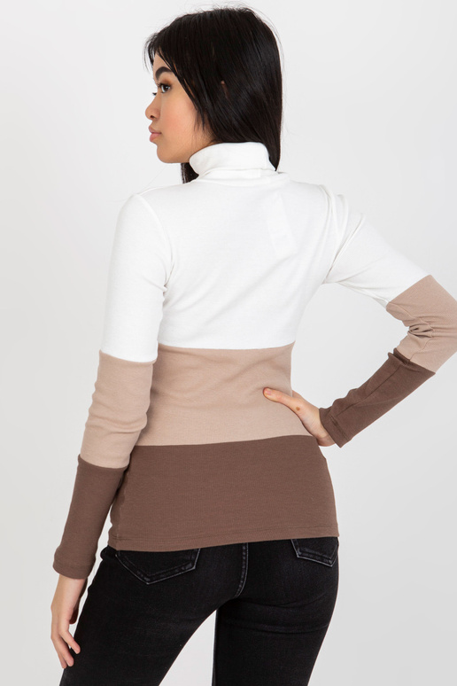 Ekrupruun soonikuga põhiline...