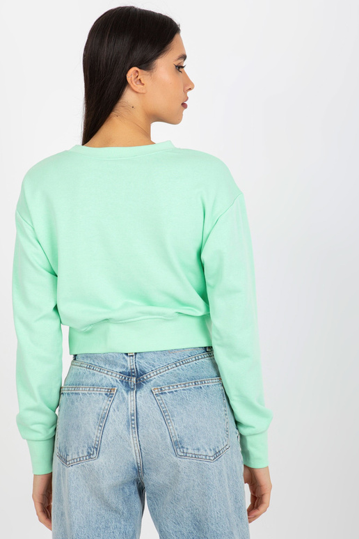 Mint lühike kapuutsiga dressipluus,...