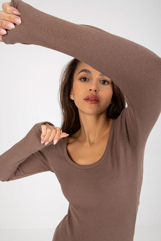 Pruuni soonikuga põhikeha ümara...