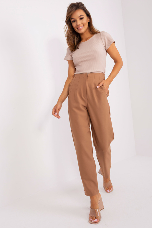 Püksid-TW-SP-OB067.41P-pruunid