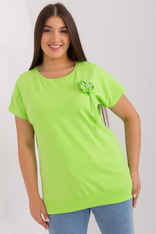 Pluus-RV-BZ-8897.58P-heleroheline