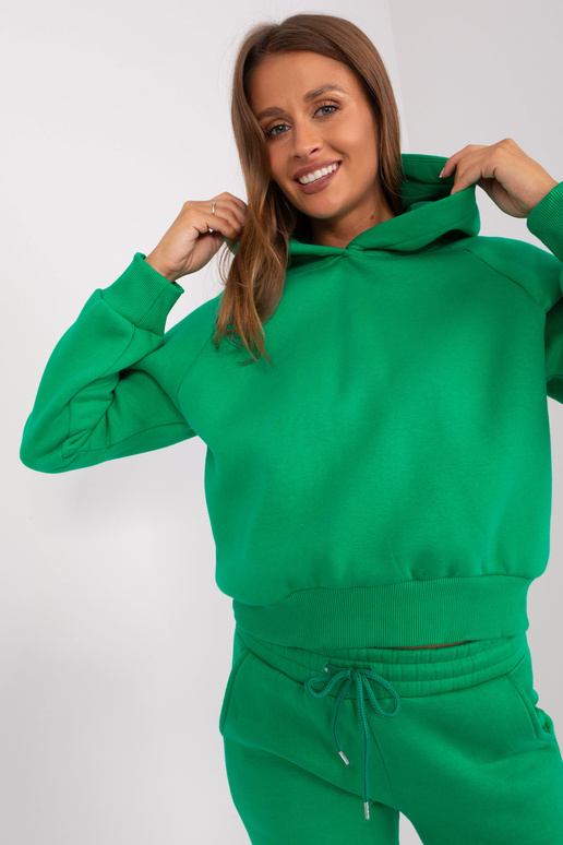 Komplekt-EM-KMPL-661.10-roheline