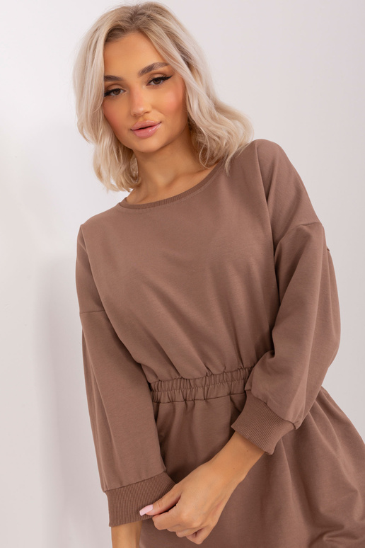 Kleit-EM-SK-HS-21-487.41-pruun