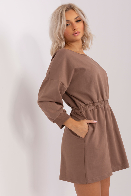 Kleit-EM-SK-HS-21-487.41-pruun