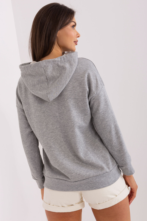 Pusa-EM-BL-HS-21-563.90P-hall