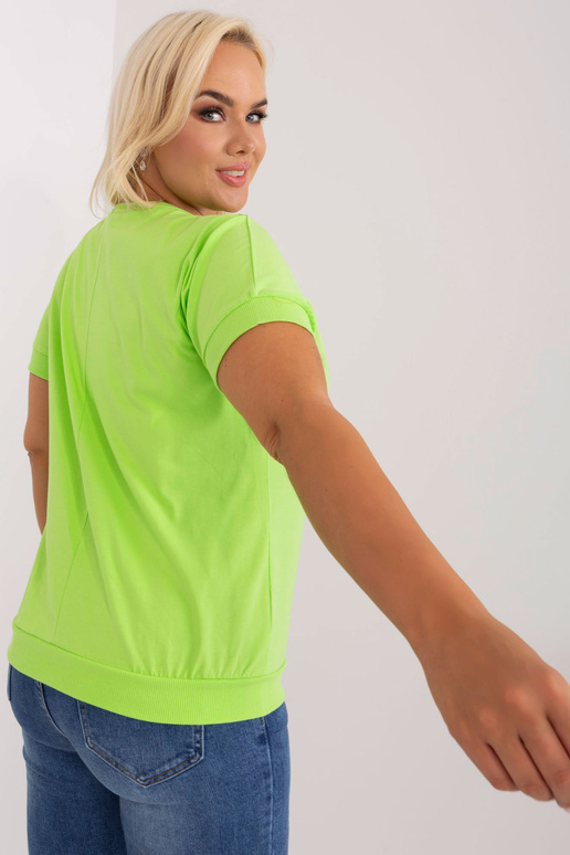 Pluus-RV-BZ-8959.75P-heleroheline