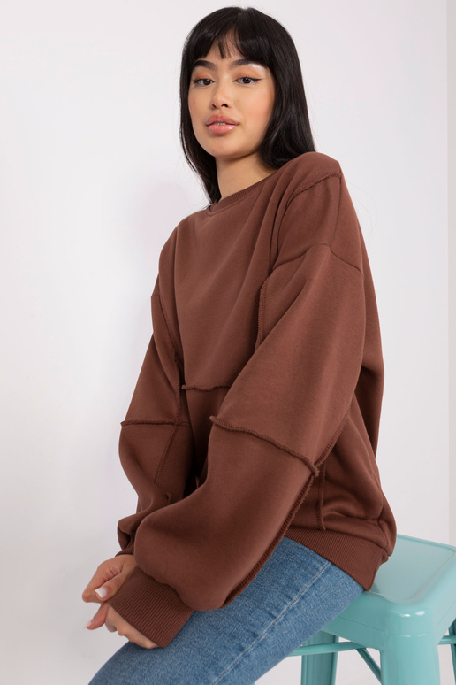 Pusa-EM-BL-763.00P-pruun