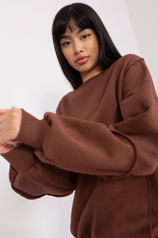 Pusa-EM-BL-763.00P-pruun