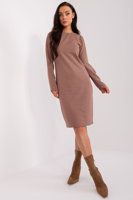 Kleit-EM-SK-HW-20-30,64-pruun