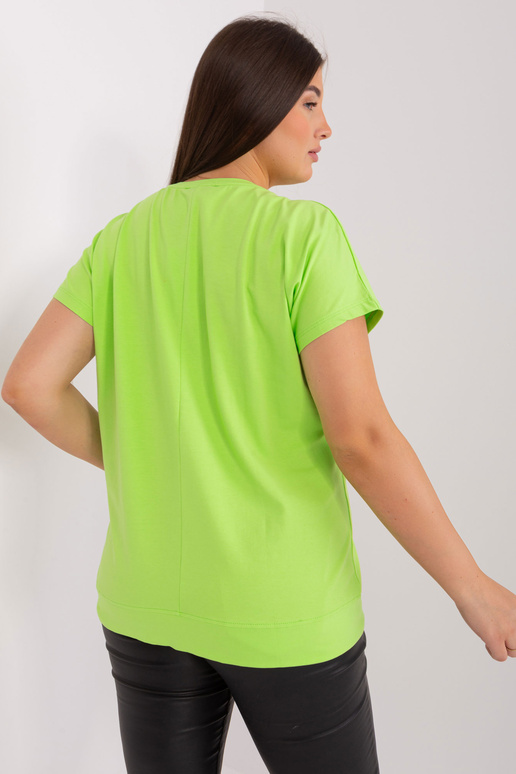 Pluus-RV-BZ-8909.74P-heleroheline