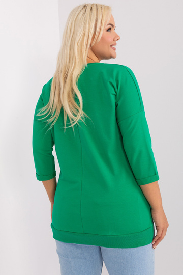 Pluus-RV-BZ-9110,85-roheline 2