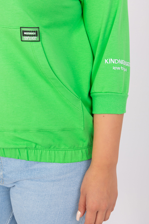 Pluus-RV-BZ-9106.93P-heleroheline