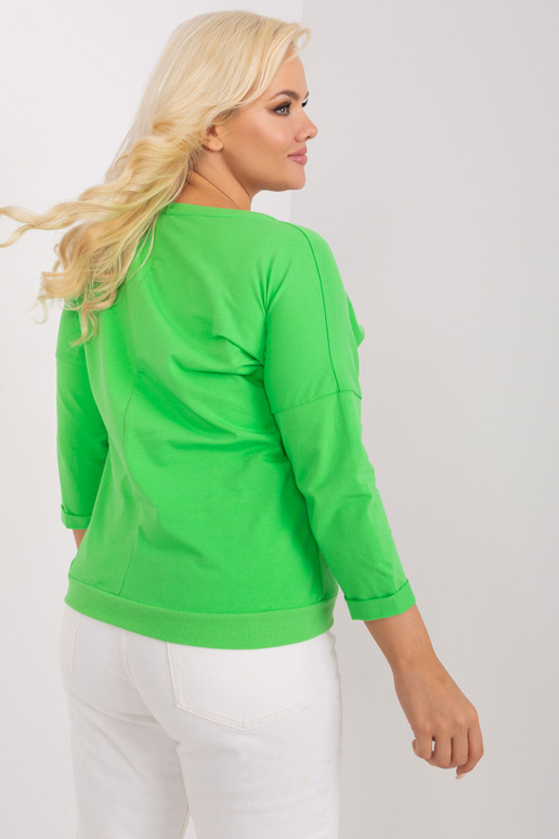 Pluus-RV-BZ-8995.94P-heleroheline