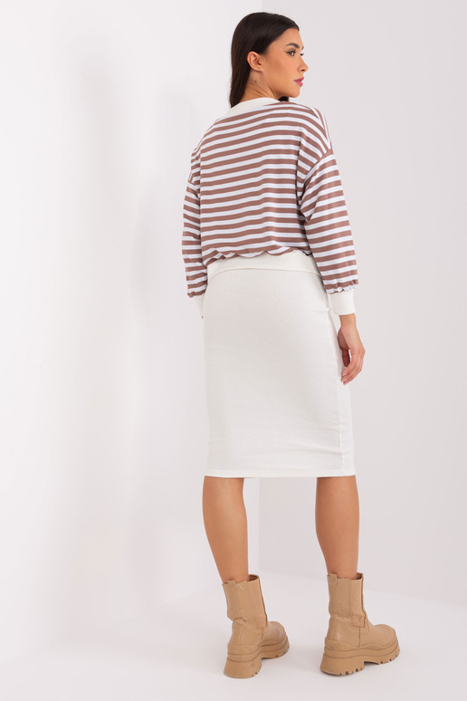 Komplekt-EM-KMPL-819.41P-pruun