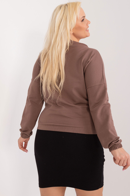 Pluus-RV-BZ-9234.38-pruun