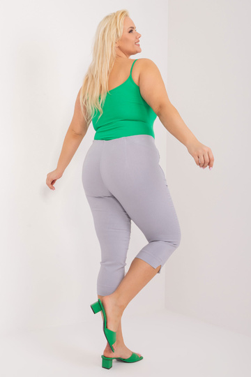 Püksid-AT-SP-1863.83-helehall