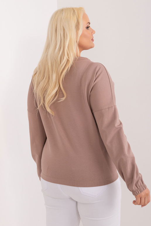 Pluus-RV-BZ-9234.38-helepruun