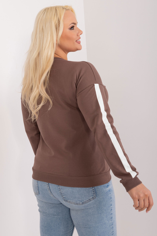 Pluus-RV-BZ-9329.57-pruun